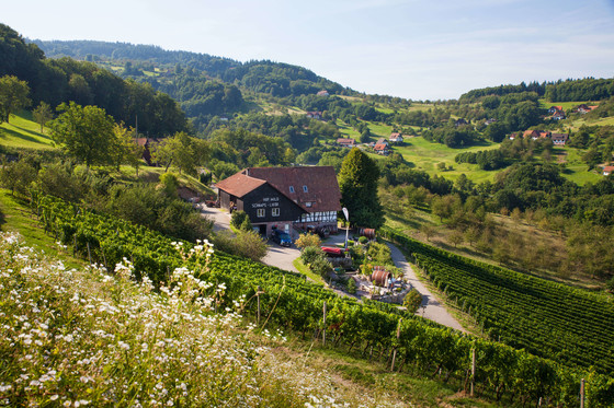 Natur Sasbachwalden